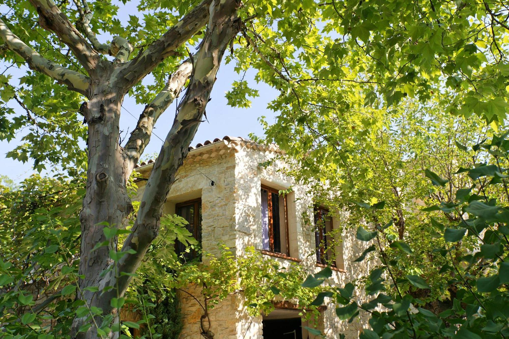 Les Maisons De Chante Oiseau Sigonce Exteriör bild