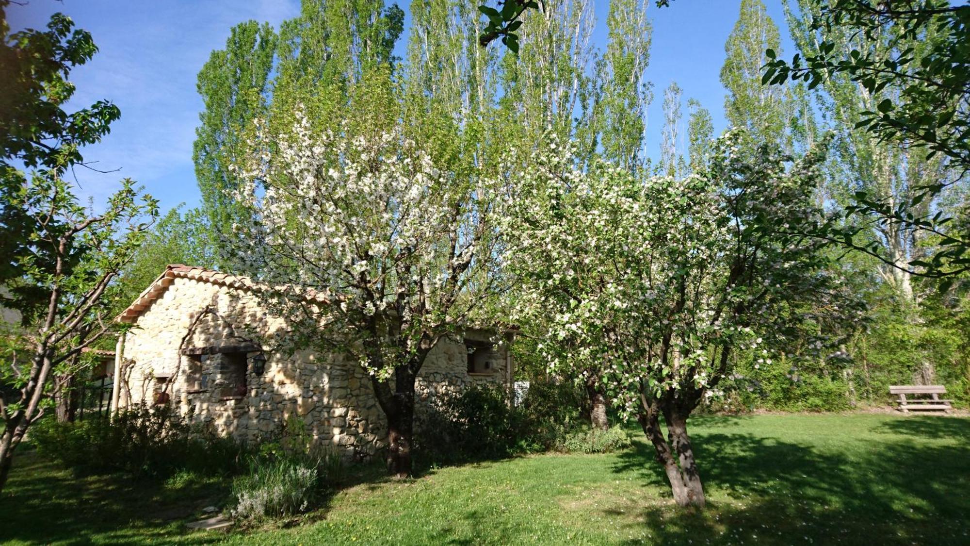 Les Maisons De Chante Oiseau Sigonce Rum bild