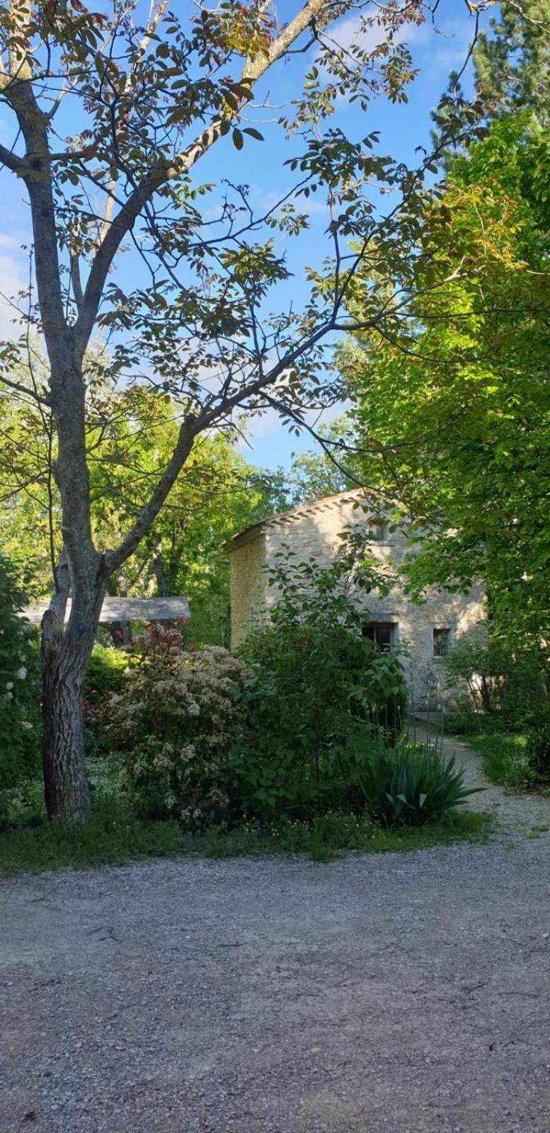 Les Maisons De Chante Oiseau Sigonce Exteriör bild