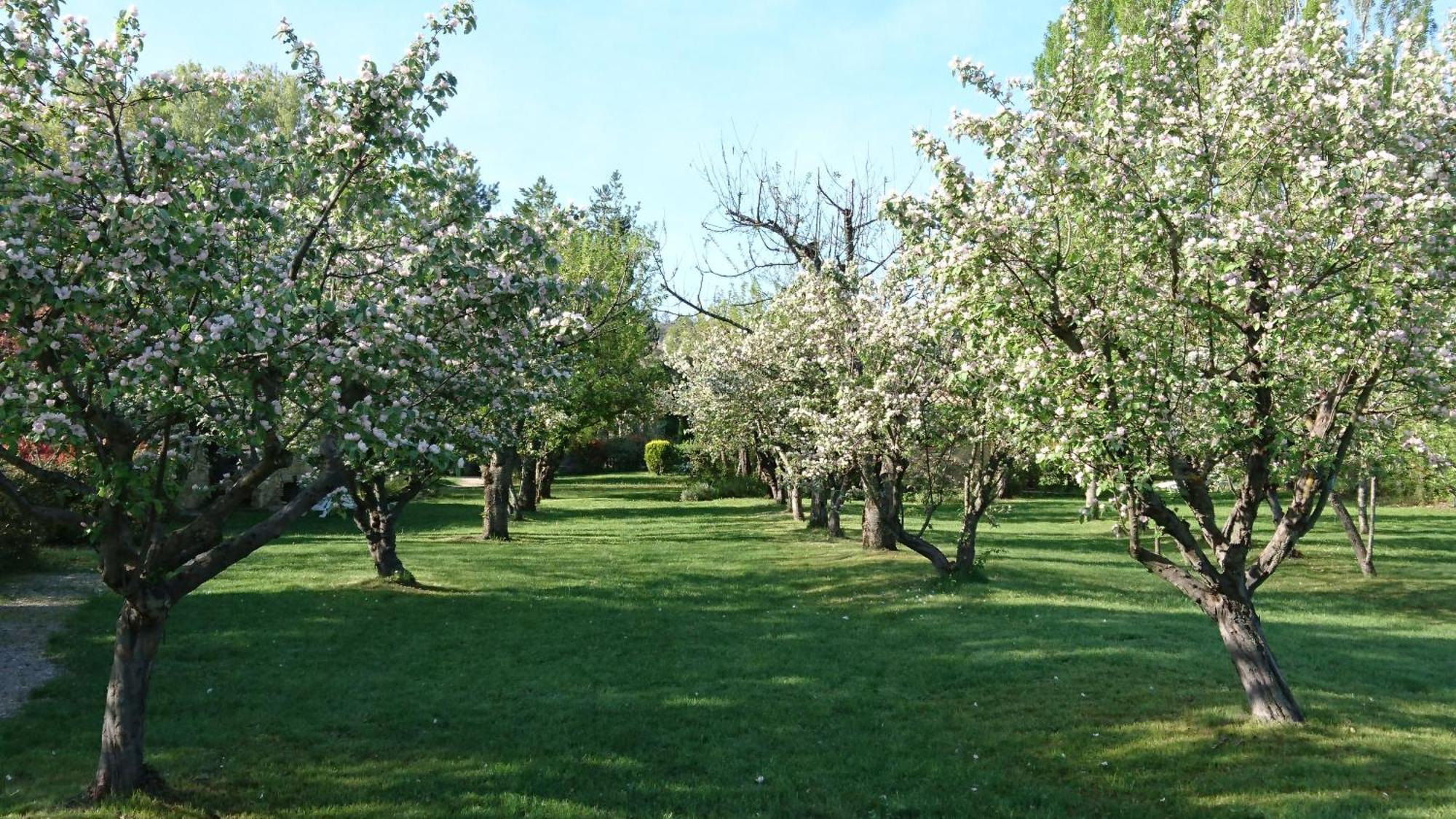 Les Maisons De Chante Oiseau Sigonce Exteriör bild